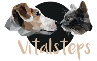 Vitalsteps