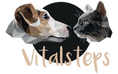 Vitalsteps