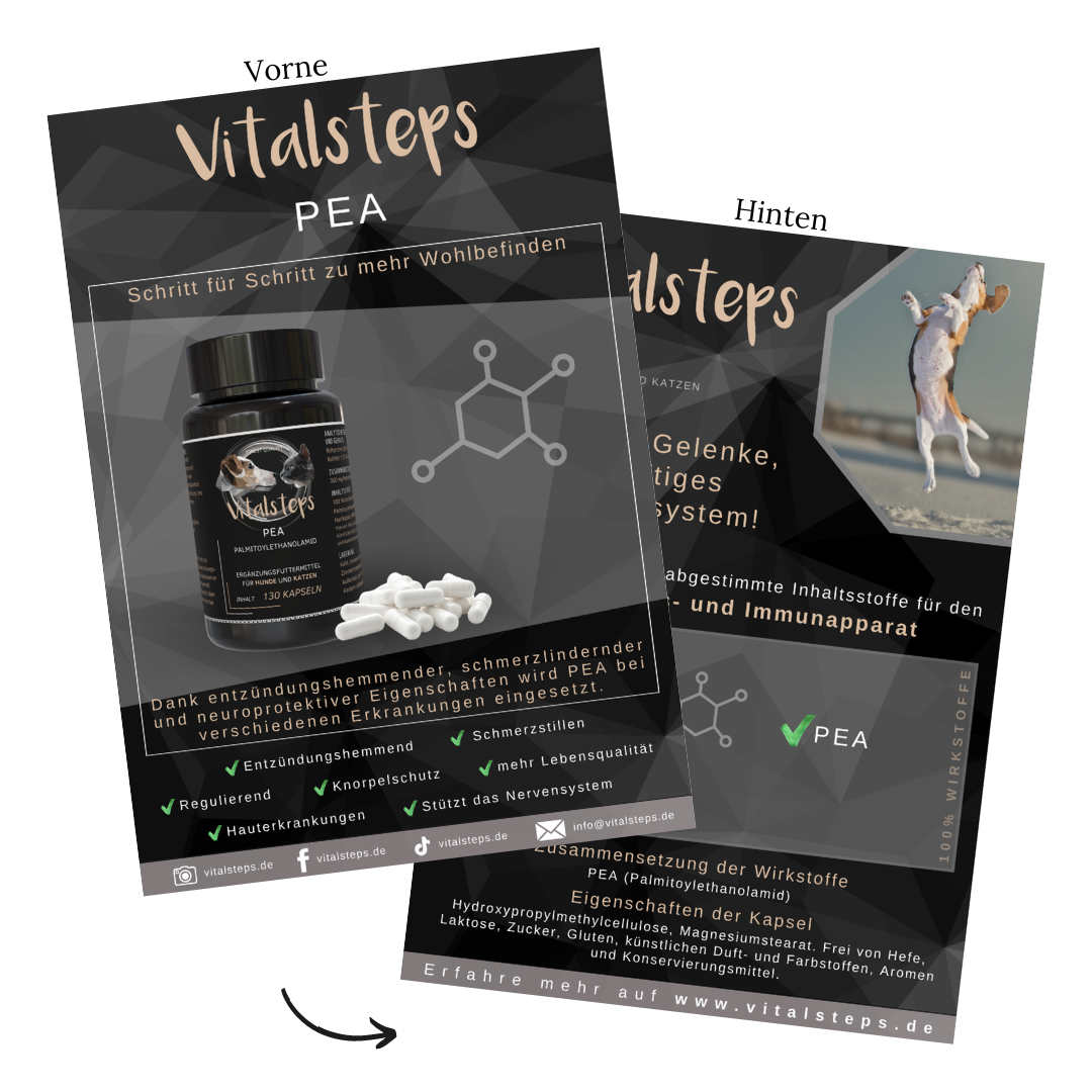 Produkt- Flyer A5