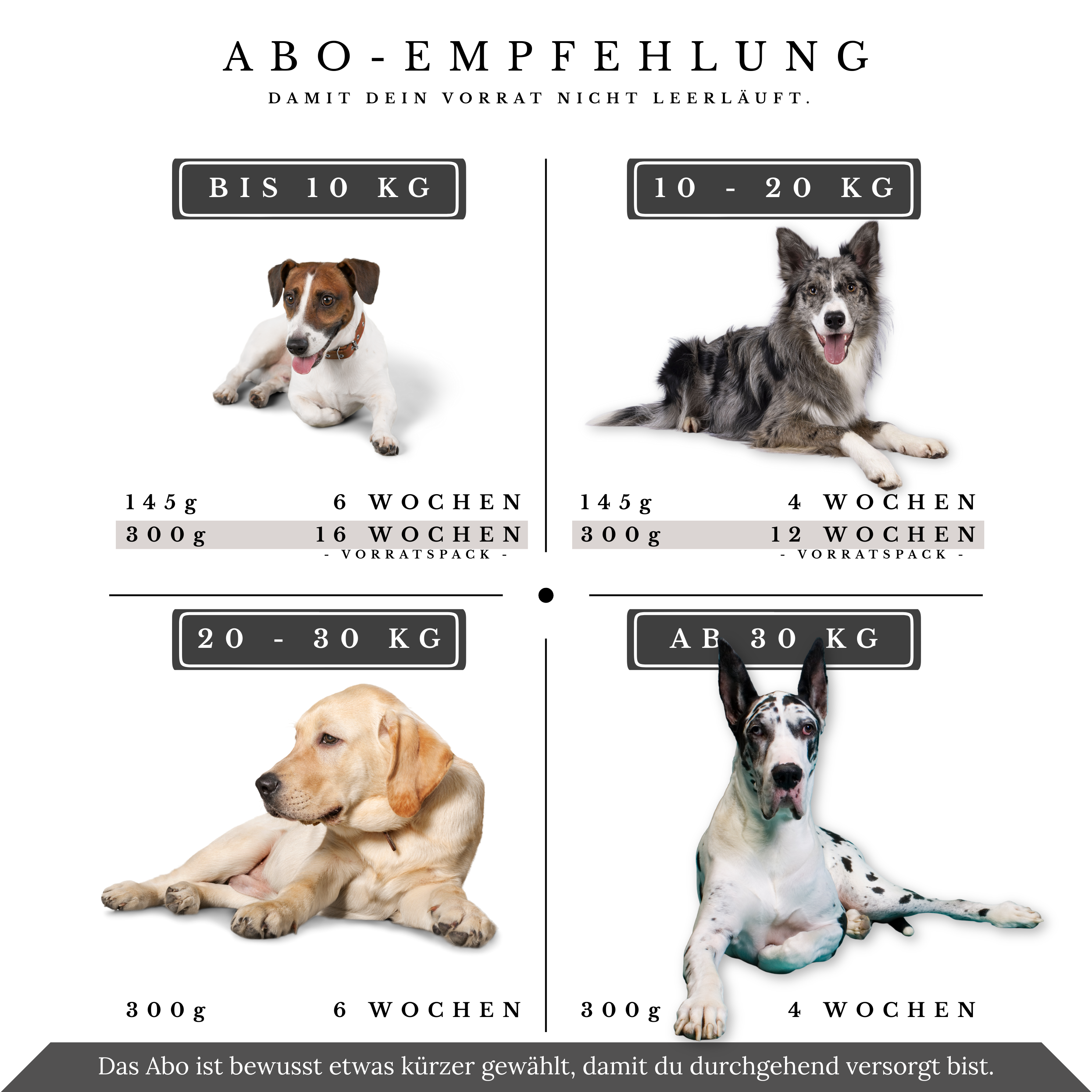 Vitalsteps AminoVital+ Abo-Empfehlung mit Dosengrößen und Intervallen nach Hundegewicht