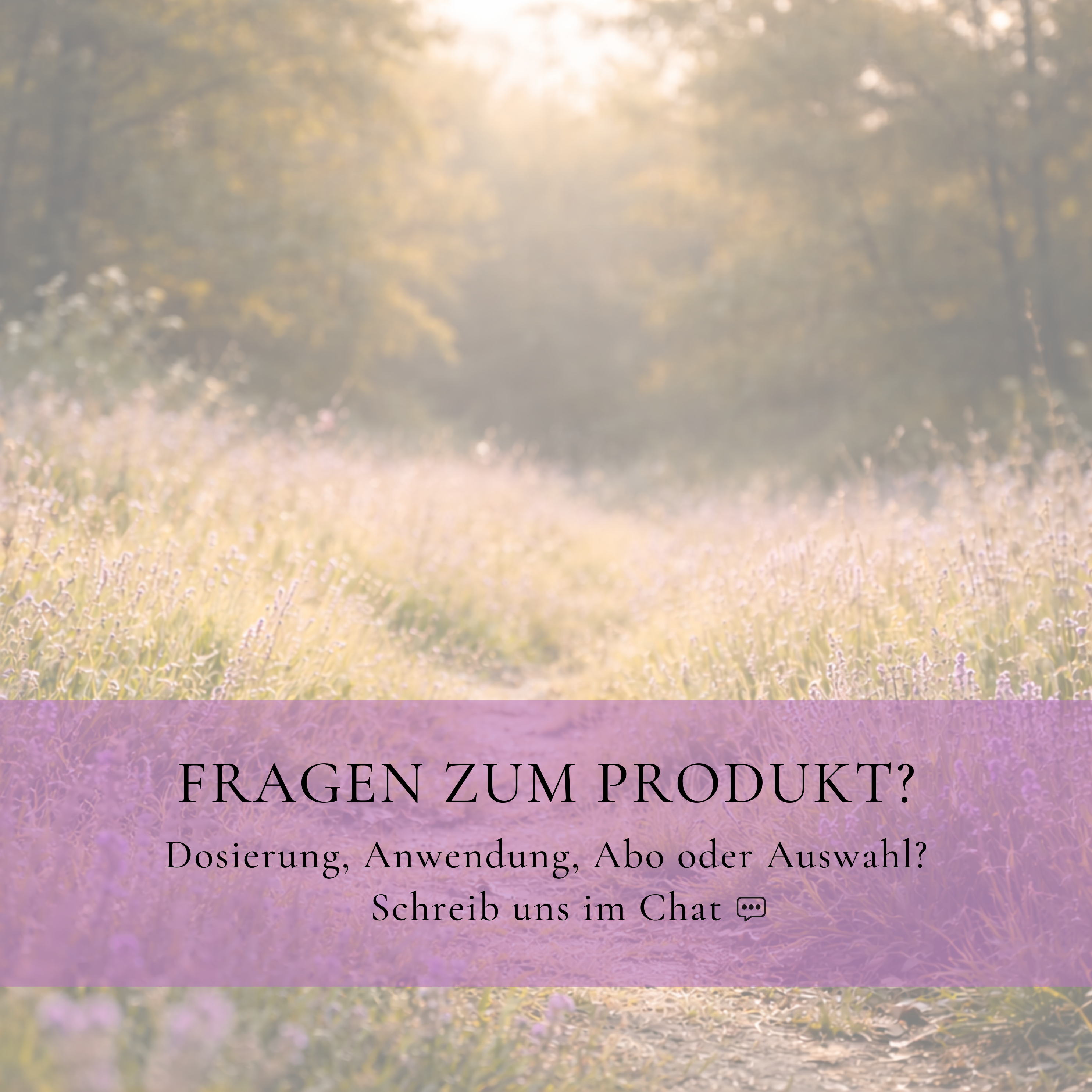 Vitalsteps AminoVital+ Infobild mit Hinweis auf Beratung zu Dosierung, Anwendung, Abo und Produktauswahl im Chat