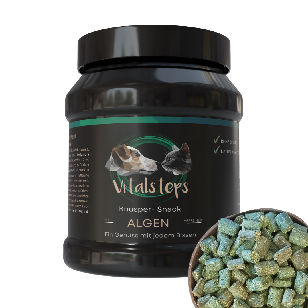 Vitalsteps Knusper-Snack Algen Produktdose mit grünlichen Snackstückchen auf weißem Hintergrund