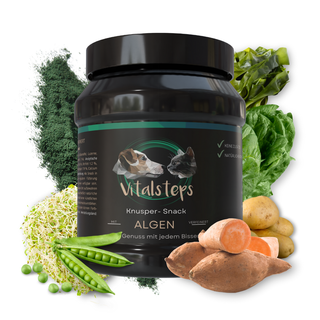 Vitalsteps Knusper-Snack Algen für Hunde mit Algen, Gemüse und pflanzlichen Zutaten wie Erbsen, Süßkartoffel und Kartoffel