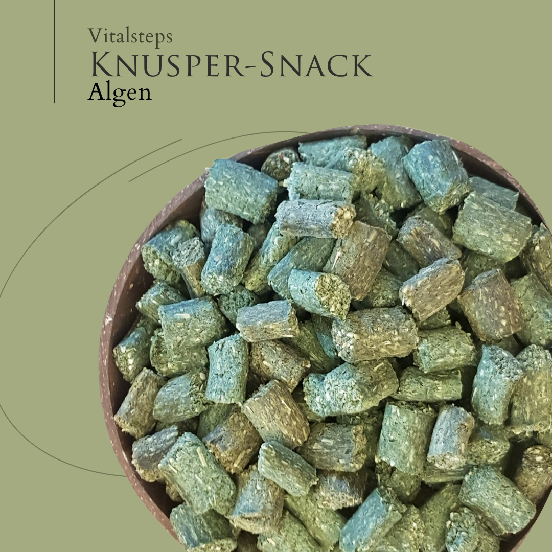 Vitalsteps Knusper-Snack Algen Nahaufnahme mit grünlichen Snackstückchen in einer Schale