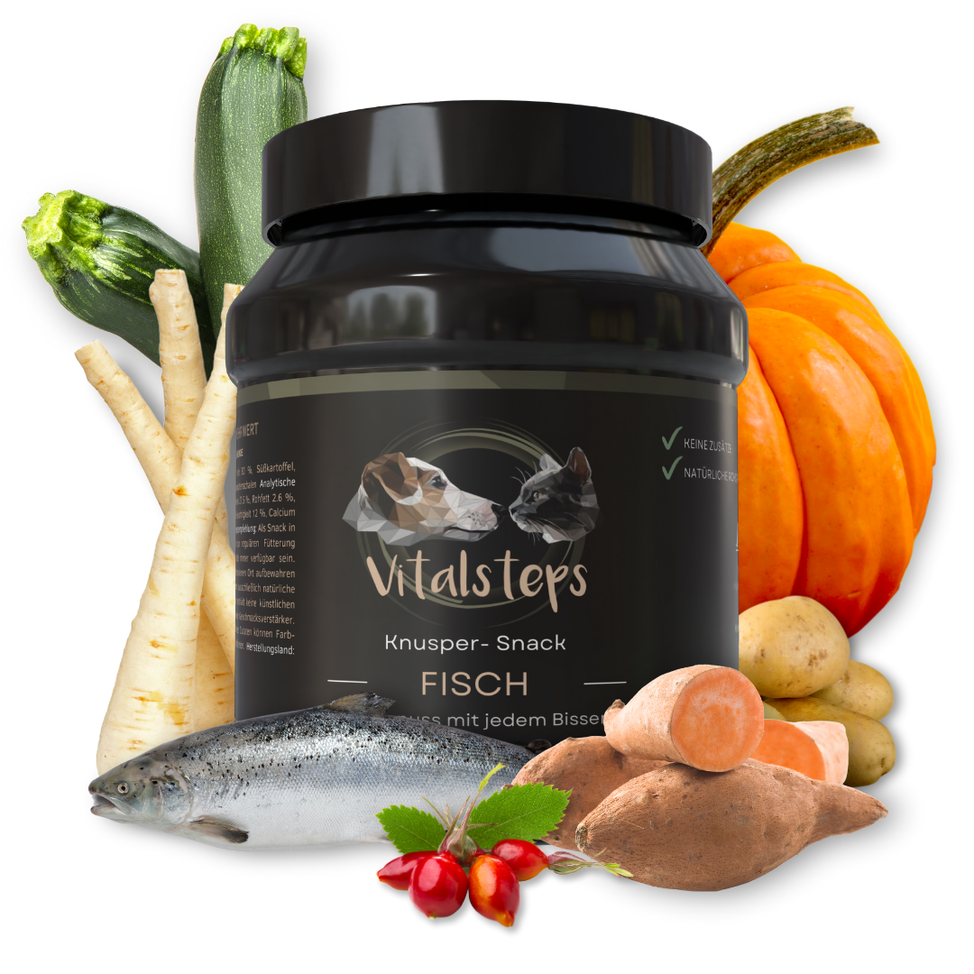Vitalsteps Knusper-Snack Fisch für Hunde mit Fisch, Gemüse und pflanzlichen Zutaten wie Kürbis, Karotte, Süßkartoffel und Kartoffel