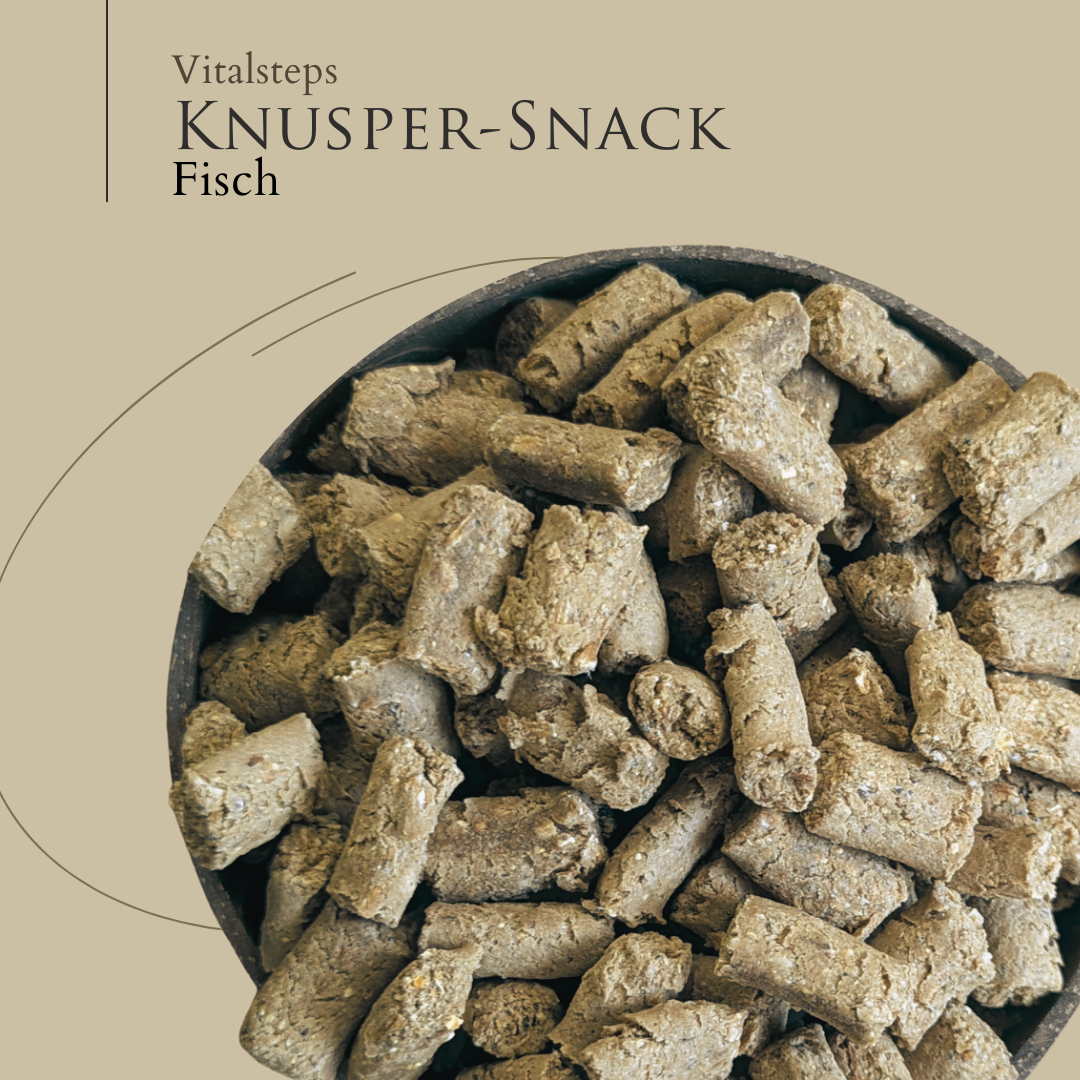 Vitalsteps Knusper-Snack Fisch Nahaufnahme mit hellen Snackstückchen in einer Schale