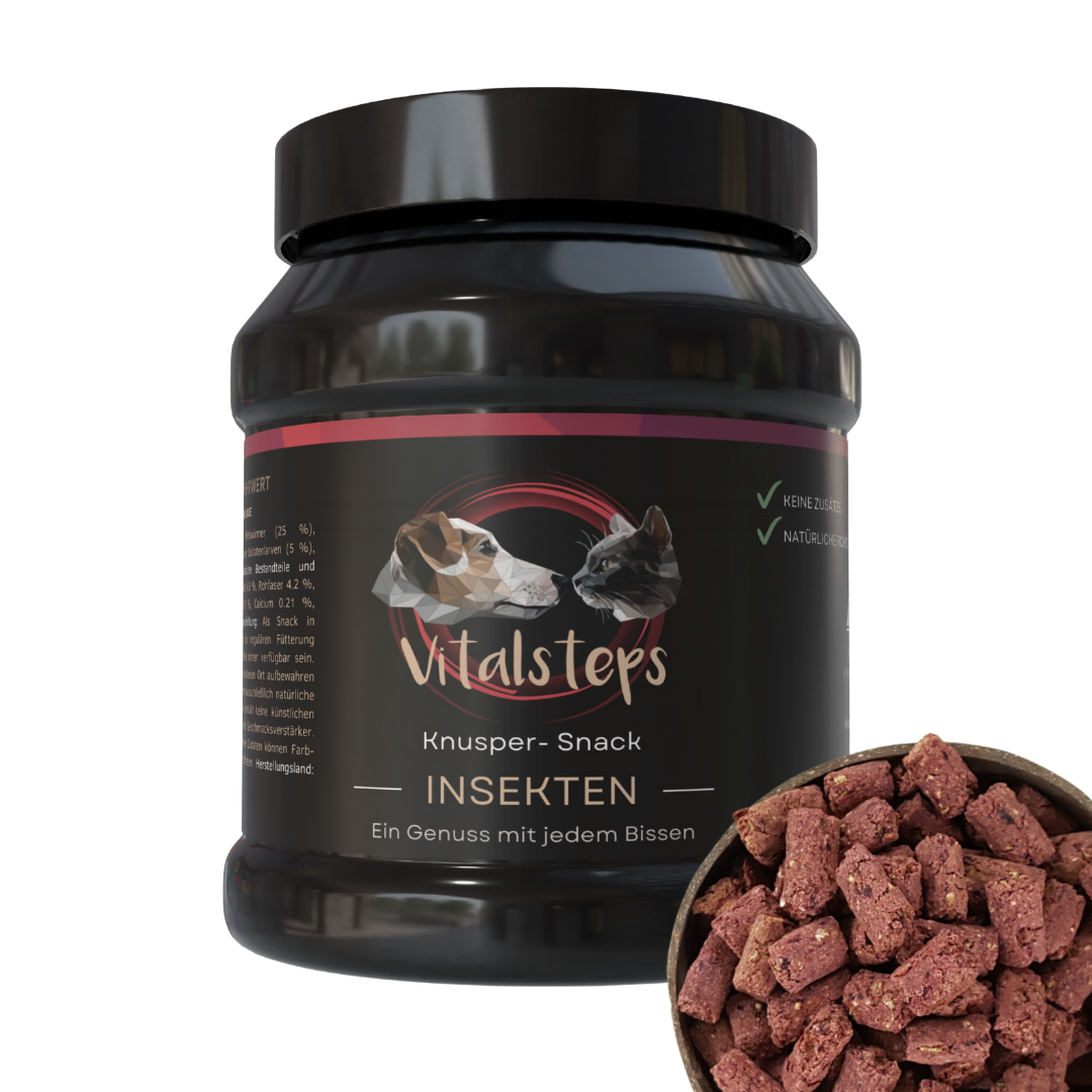 Vitalsteps Knusper-Snack Insekten Produktdose mit rötlichen Snackstückchen auf weißem Hintergrund