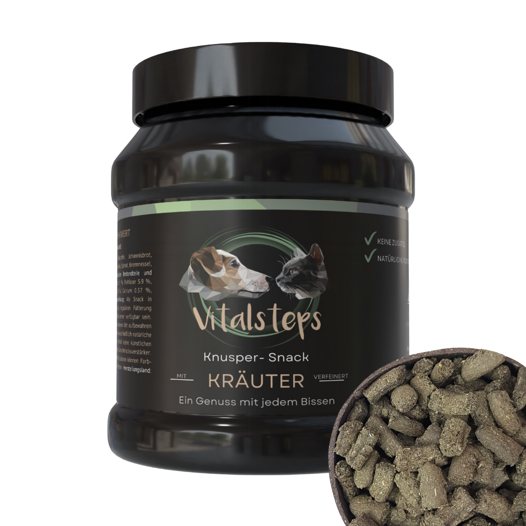 Vitalsteps Knusper-Snack Kräuter Produktdose mit Snackstückchen auf weißem Hintergrund