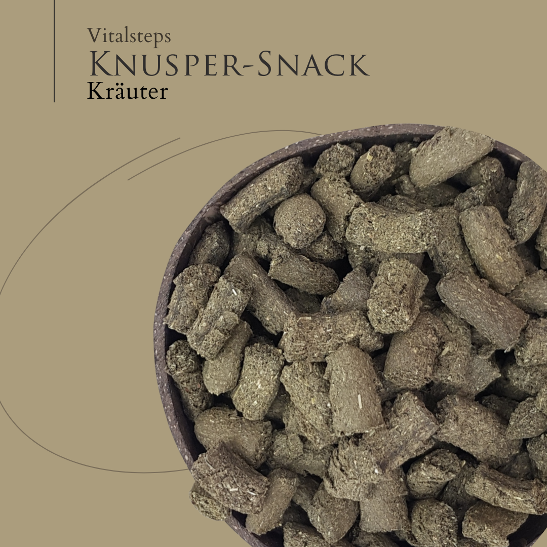 Vitalsteps Knusper-Snack Kräuter Nahaufnahme mit grünen Snackstückchen in einer Schale