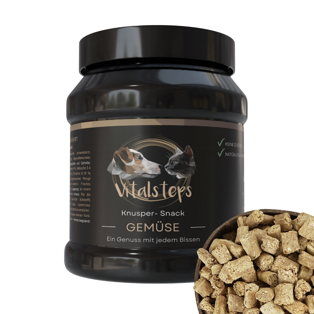 Vitalsteps Knusper-Snack Gemüse Produktdose mit hellen Snackstückchen auf weißem Hintergrund