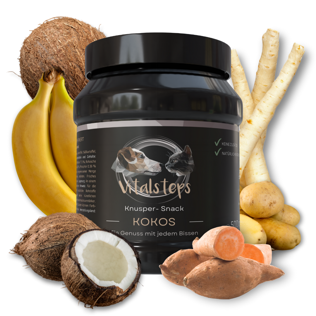 Vitalsteps Kokos- Snack| Hundesnack mit Kokosnuss