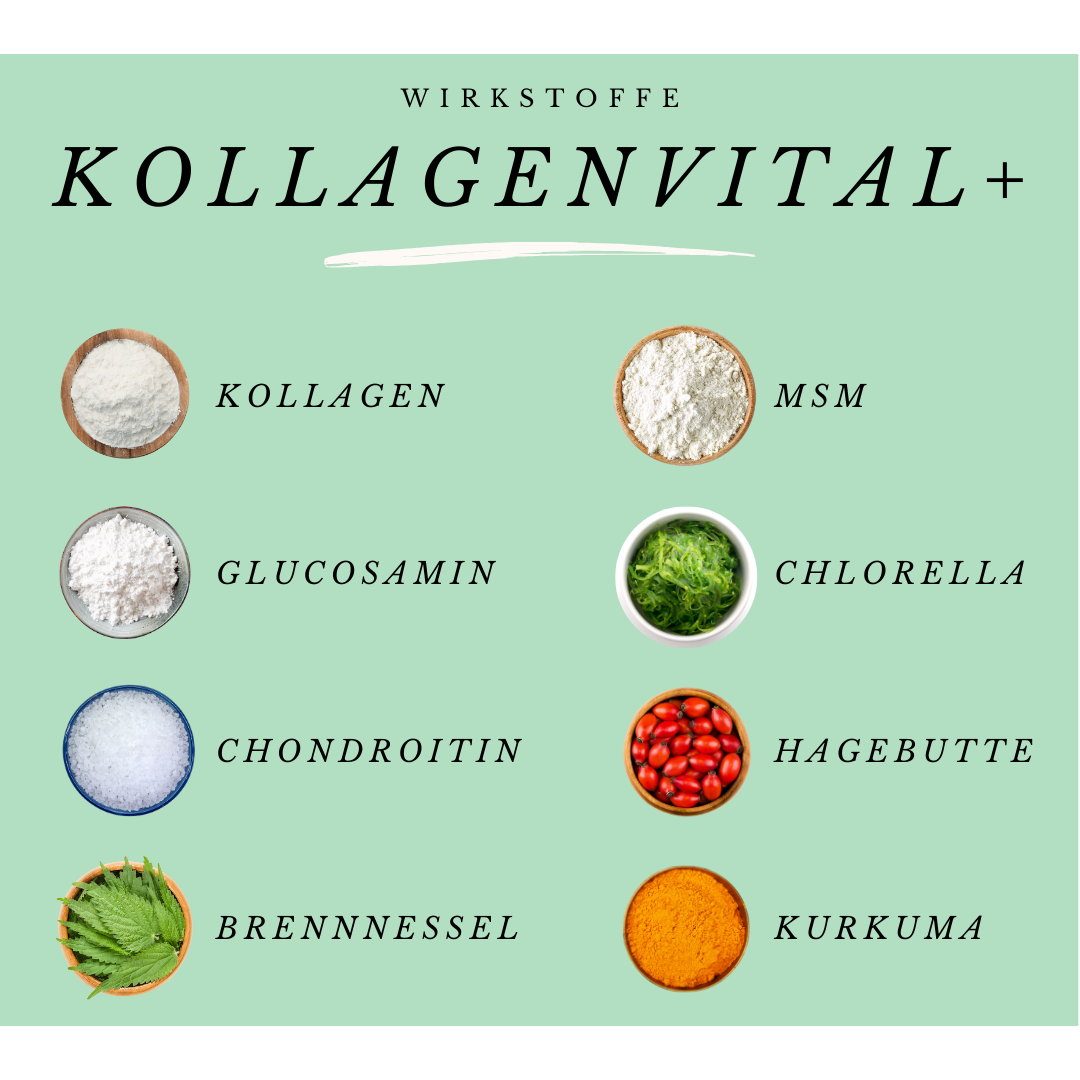 KollagenVital+