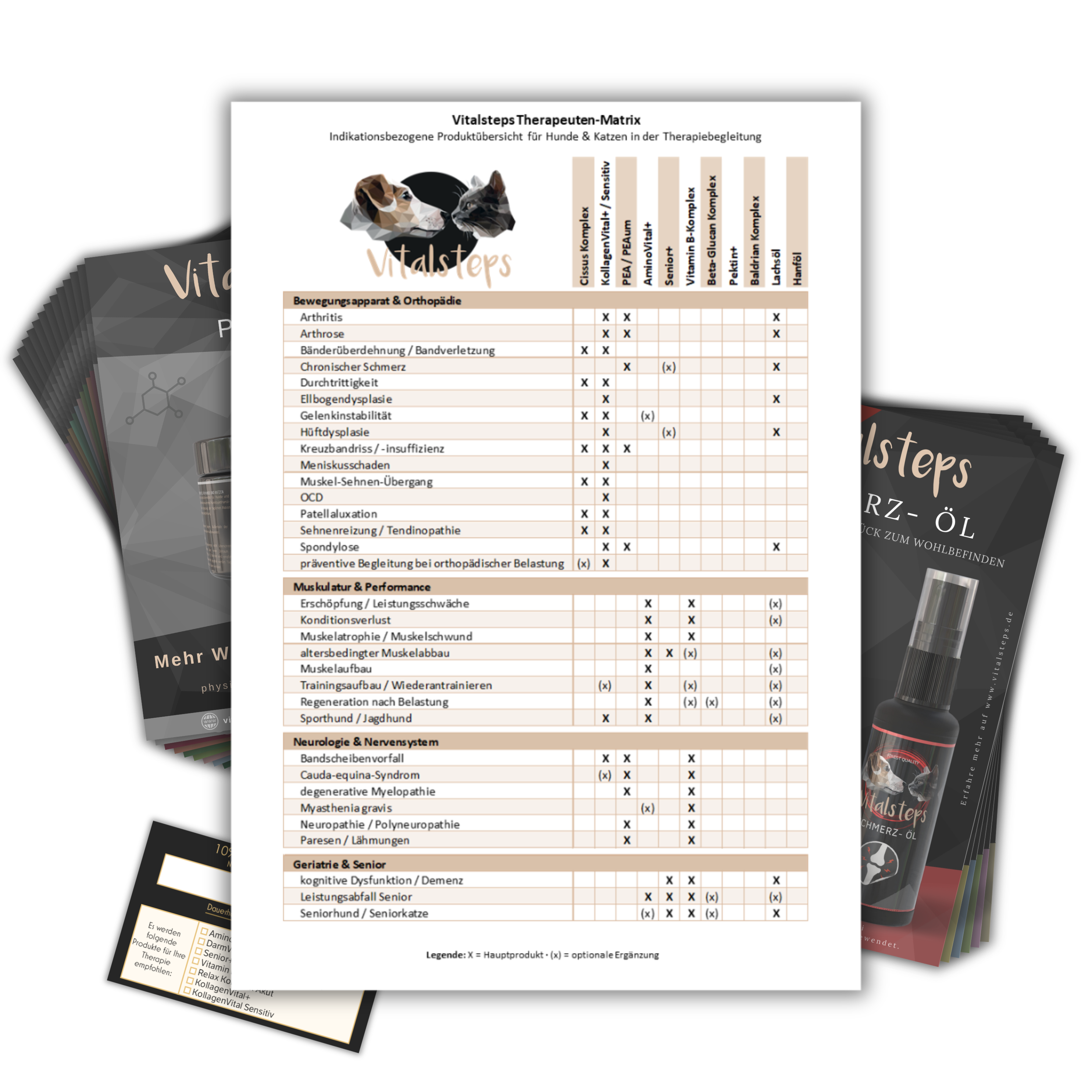 Flyer-Starterpaket inkl. Produktmatrix