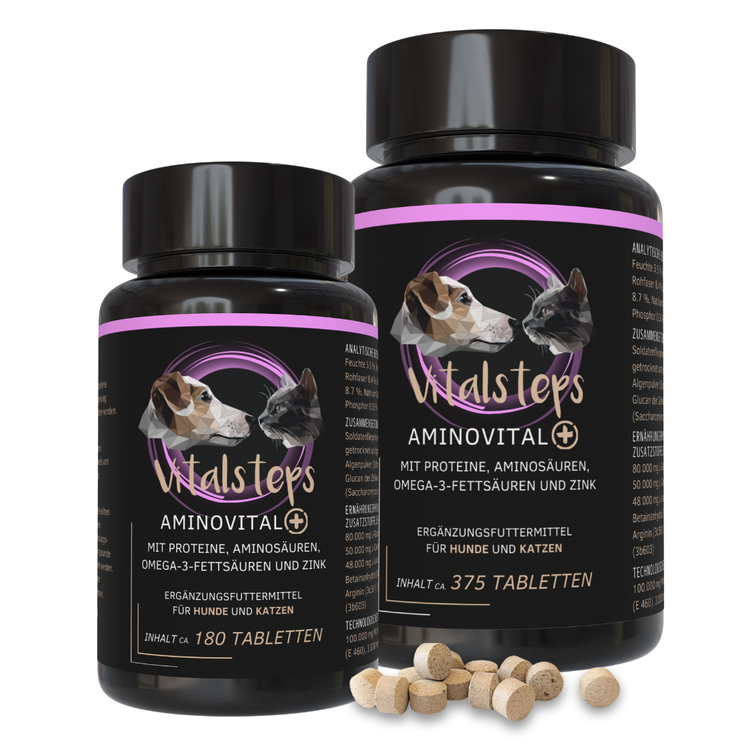 AminoVital+