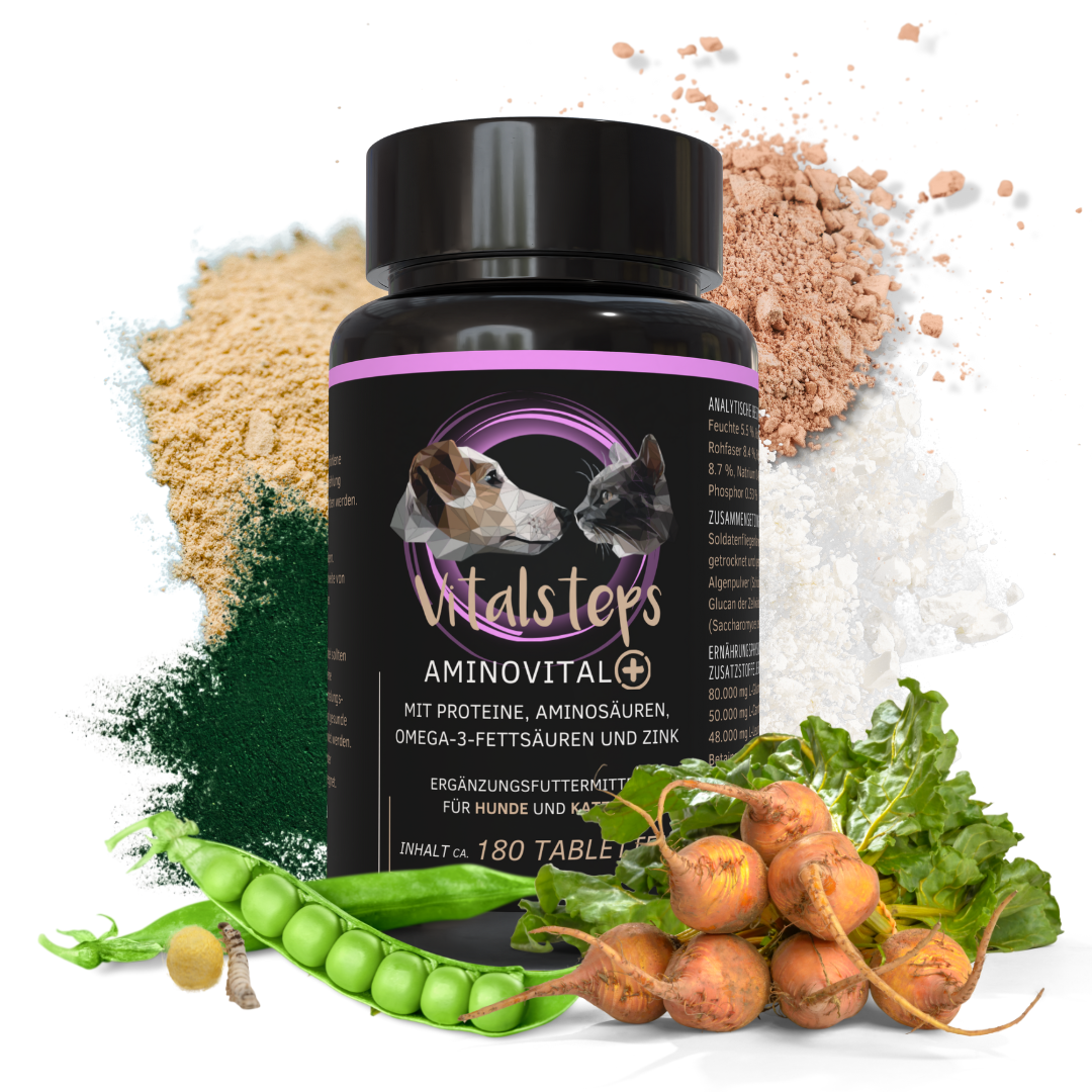 AminoVital+