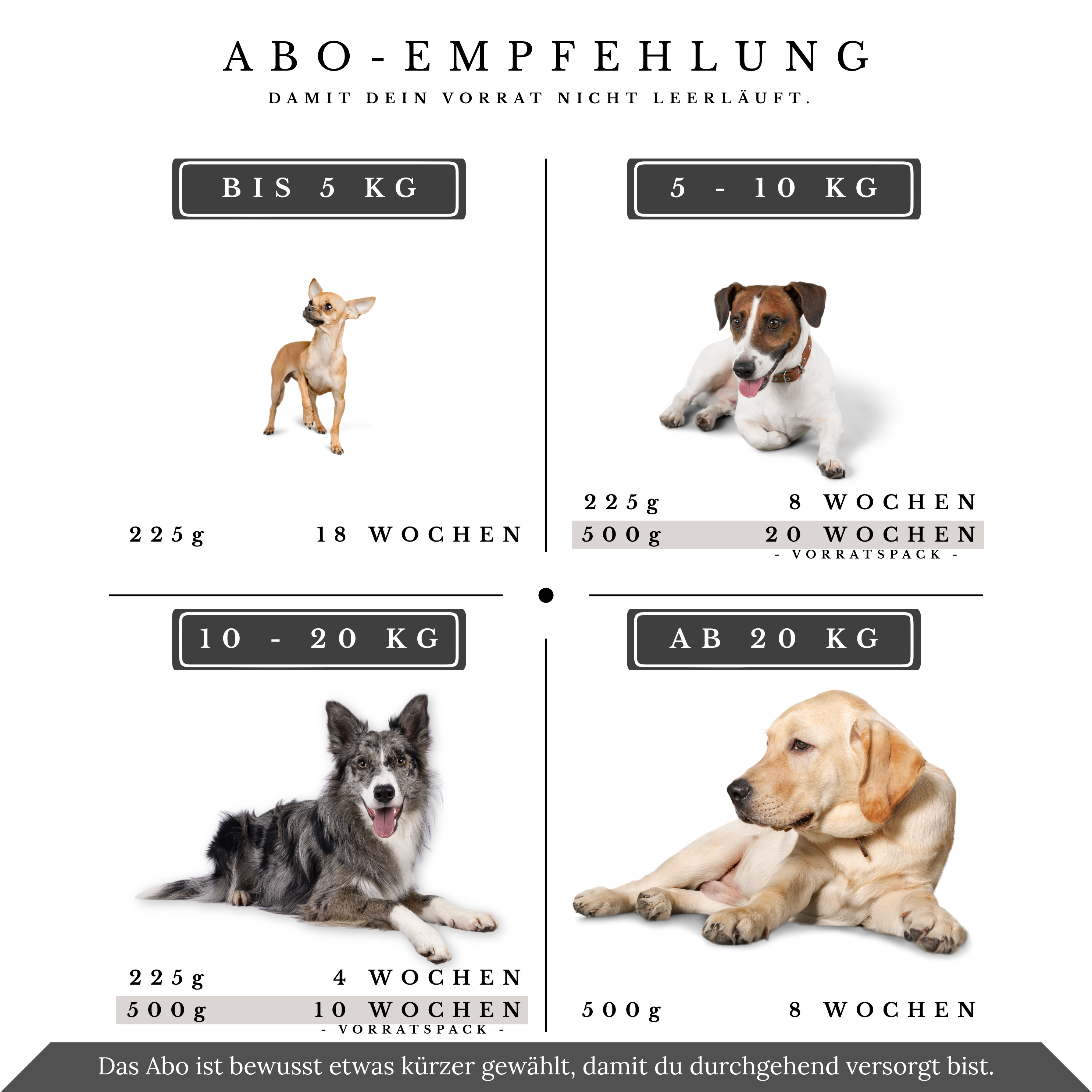 Vitalsteps Cissus Komplex Abo-Empfehlung mit Dosengrößen und Intervallen nach Hundegewicht