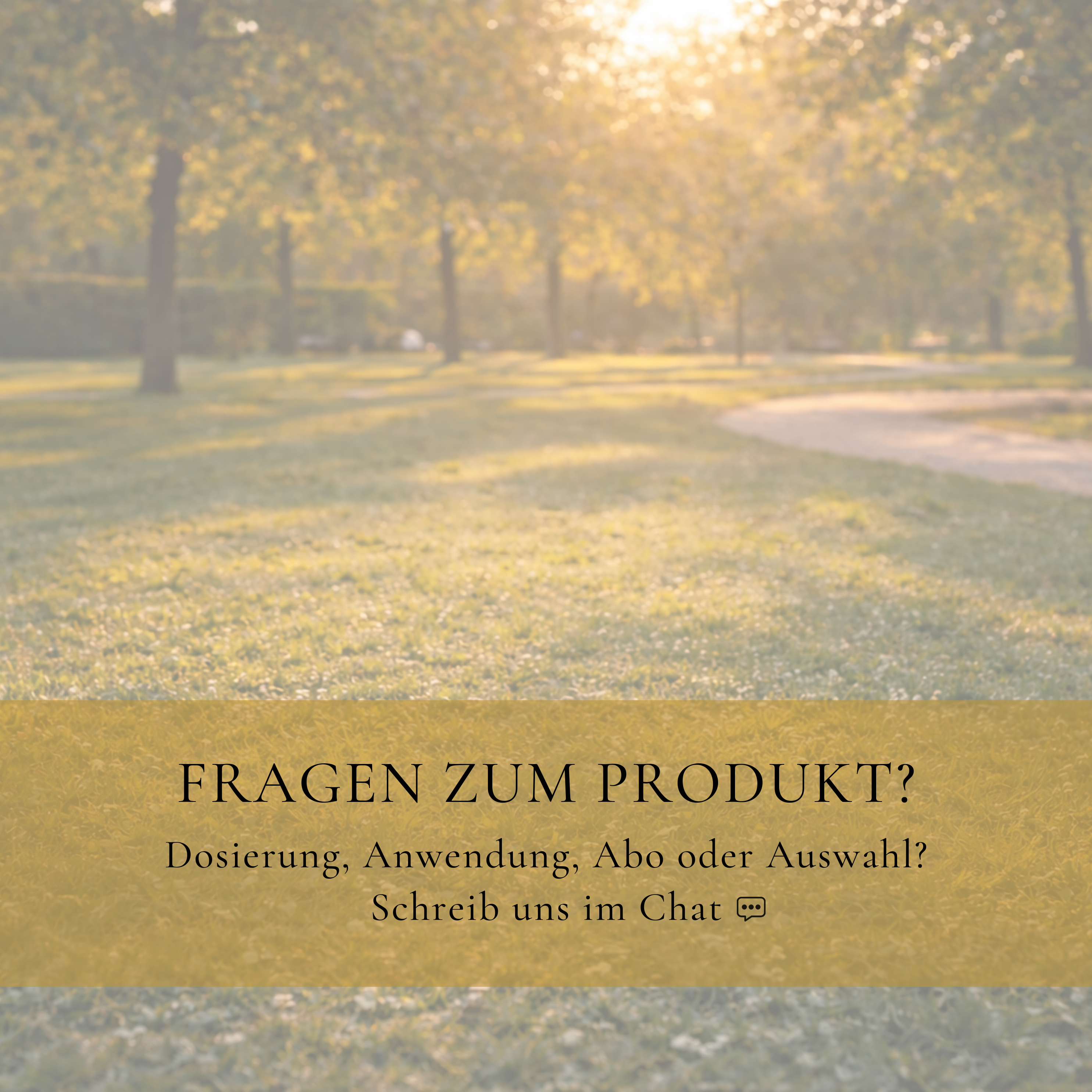 Vitalsteps Cissus Komplex Infobild mit Hinweis auf Beratung zu Dosierung, Anwendung, Abo und Produktauswahl im Chat