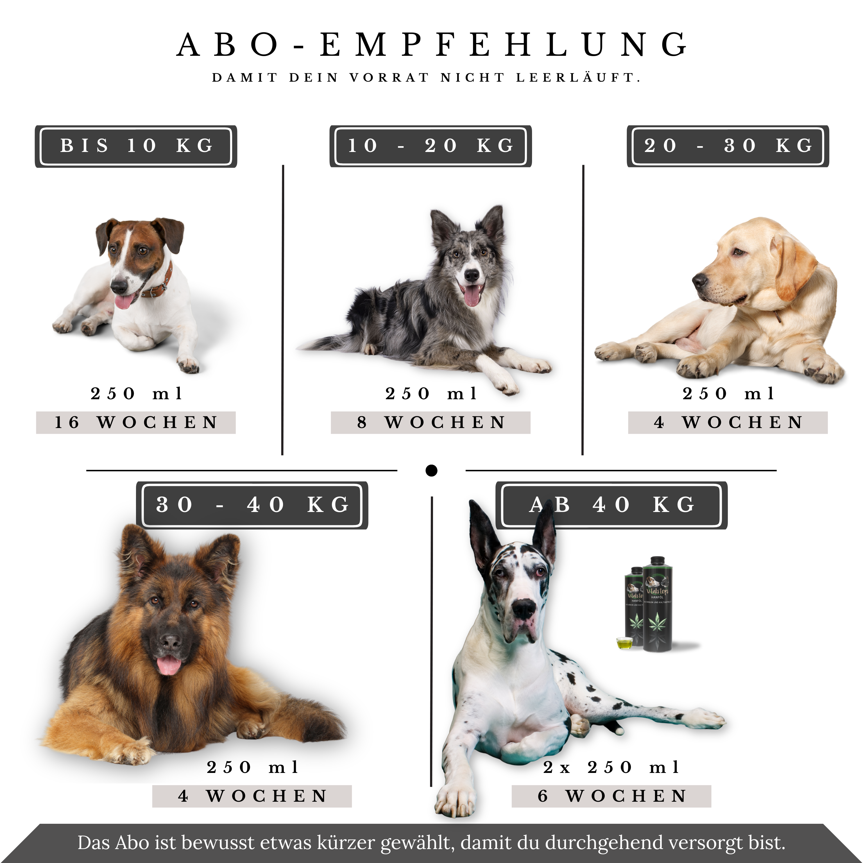 Vitalsteps Hanföl Abo-Empfehlung mit 250-ml-Flaschen und Intervallen nach Hundegewicht