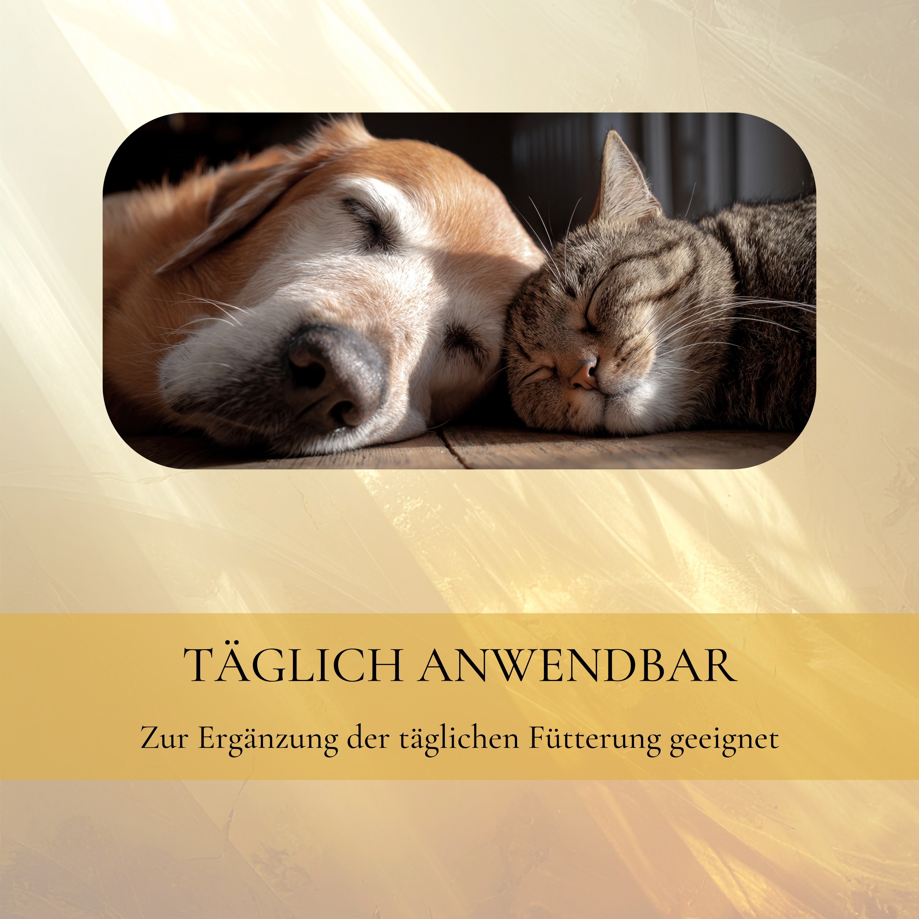 Vitalsteps Lachsöl Infobild mit schlafendem Hund und Katze zur täglichen Fütterungsergänzung