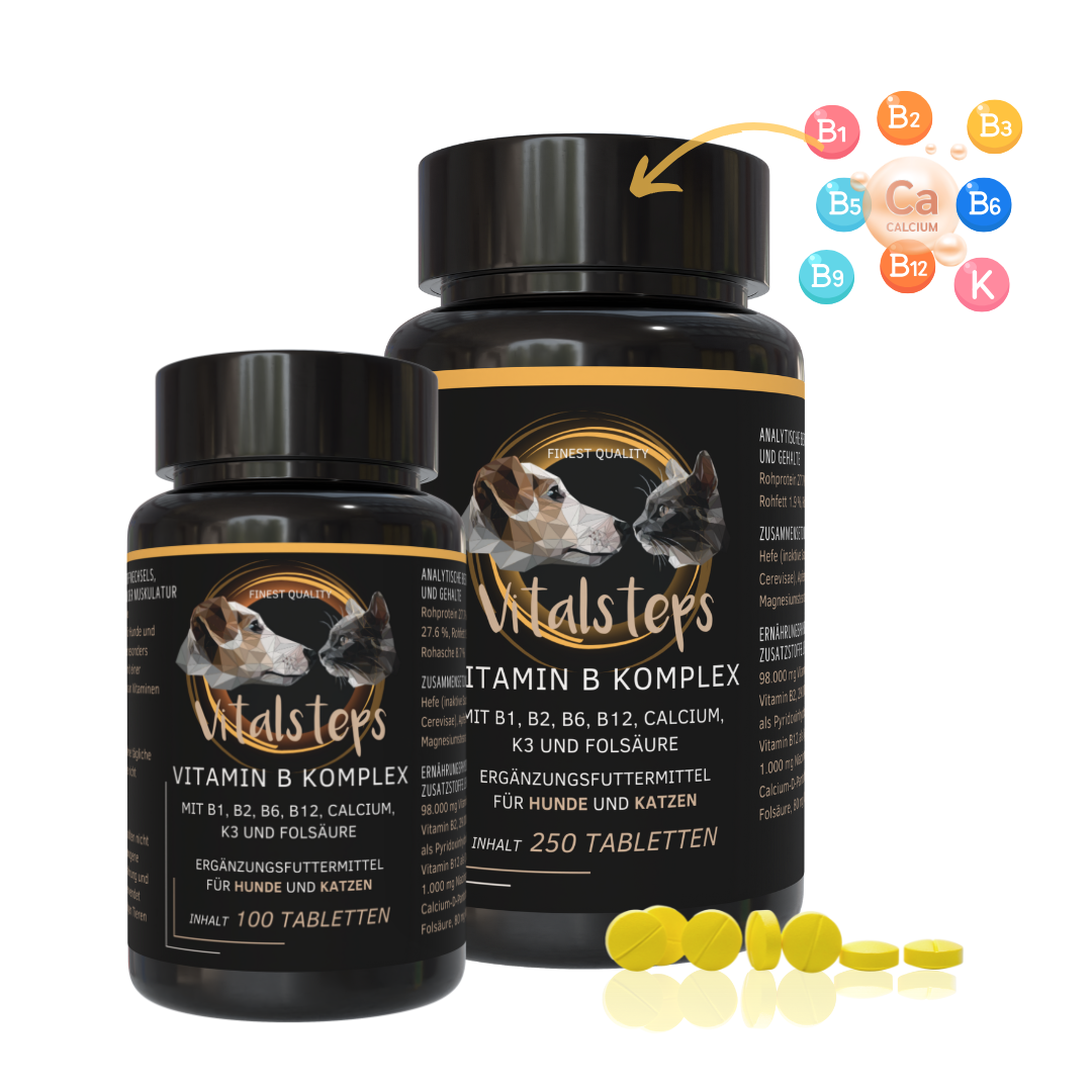 Vitamin B Komplex