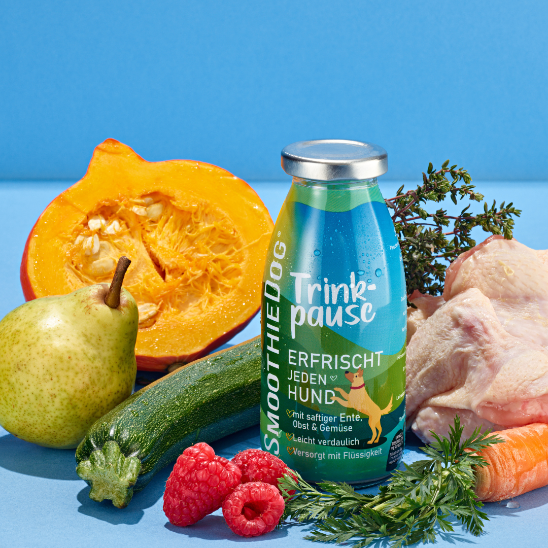 SmoothieDog | Trinkpause
