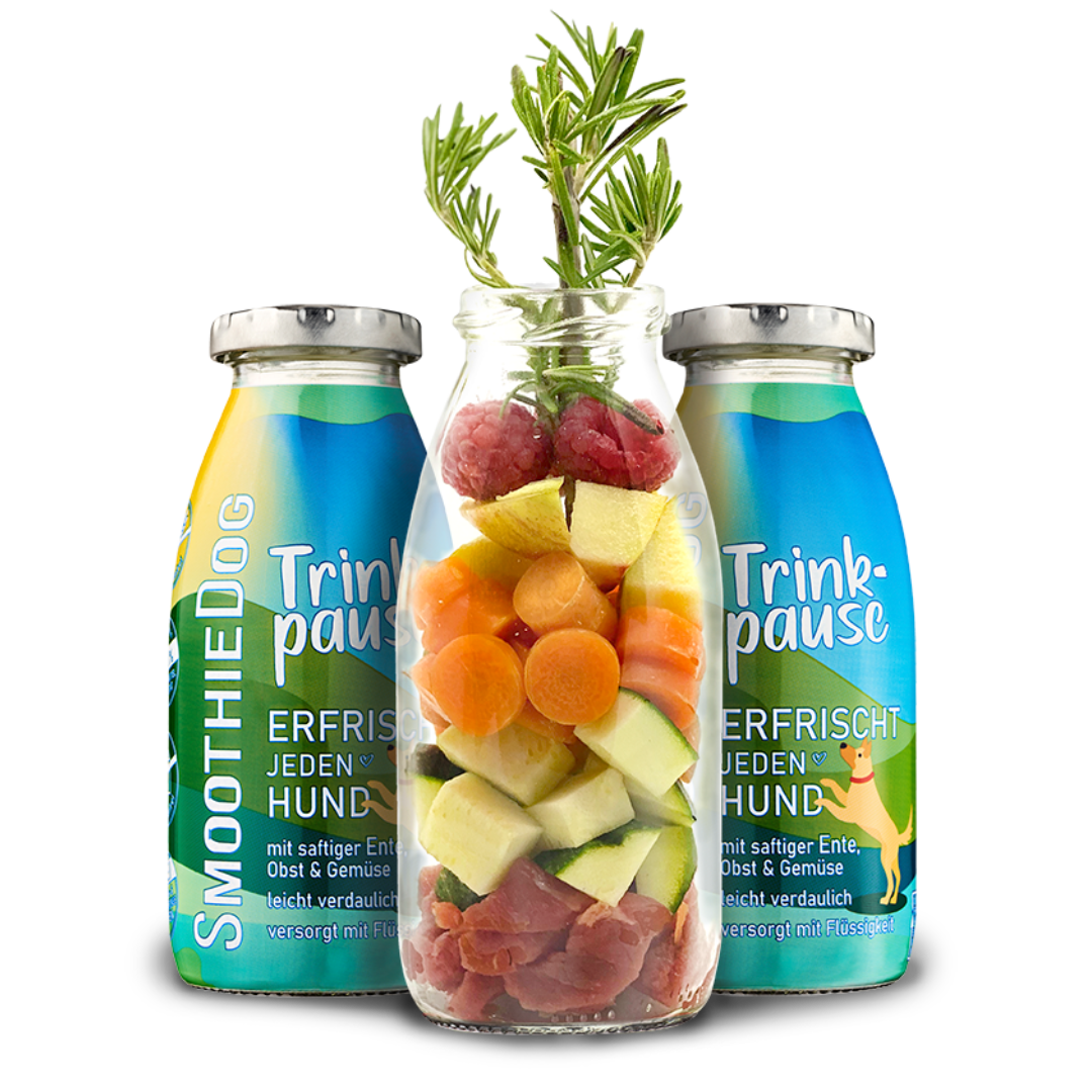 SmoothieDog | Trinkpause