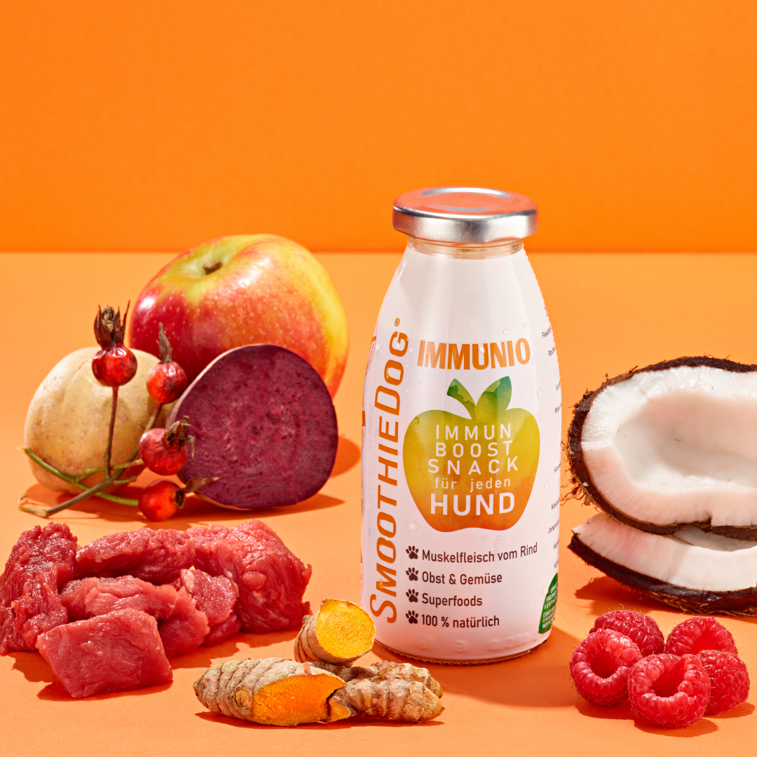 SmoothieDog | Immunio