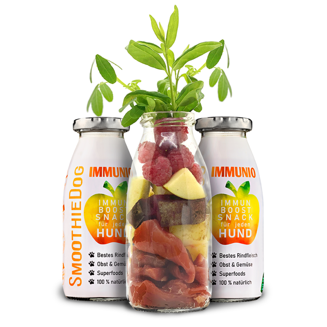 SmoothieDog | Immunio