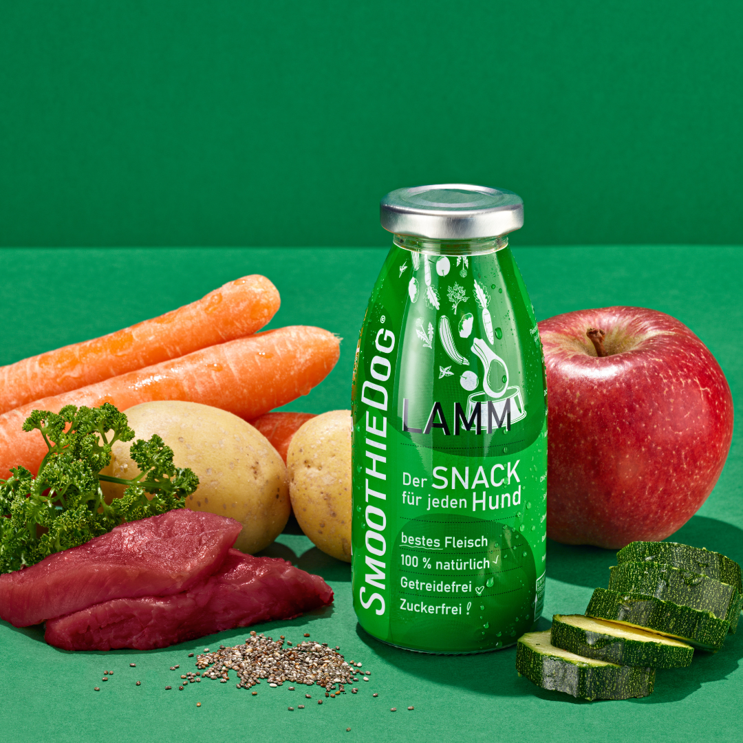 SmoothieDog | Lamm