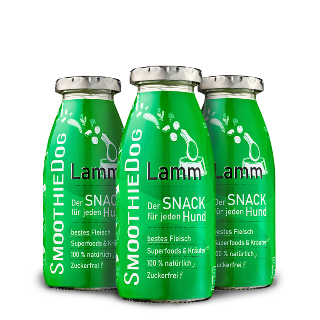 SmoothieDog | Lamm