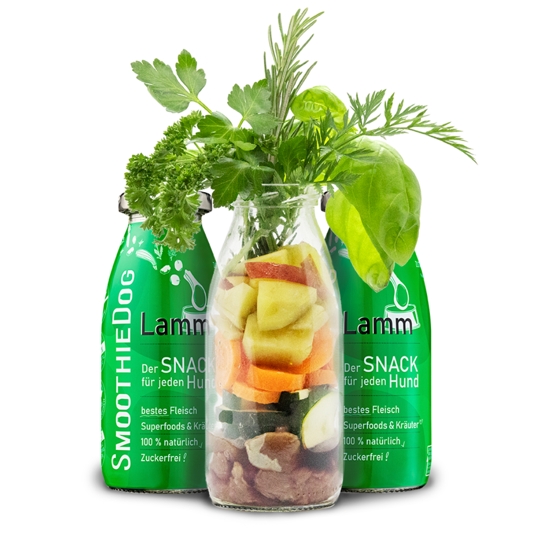 SmoothieDog | Lamm
