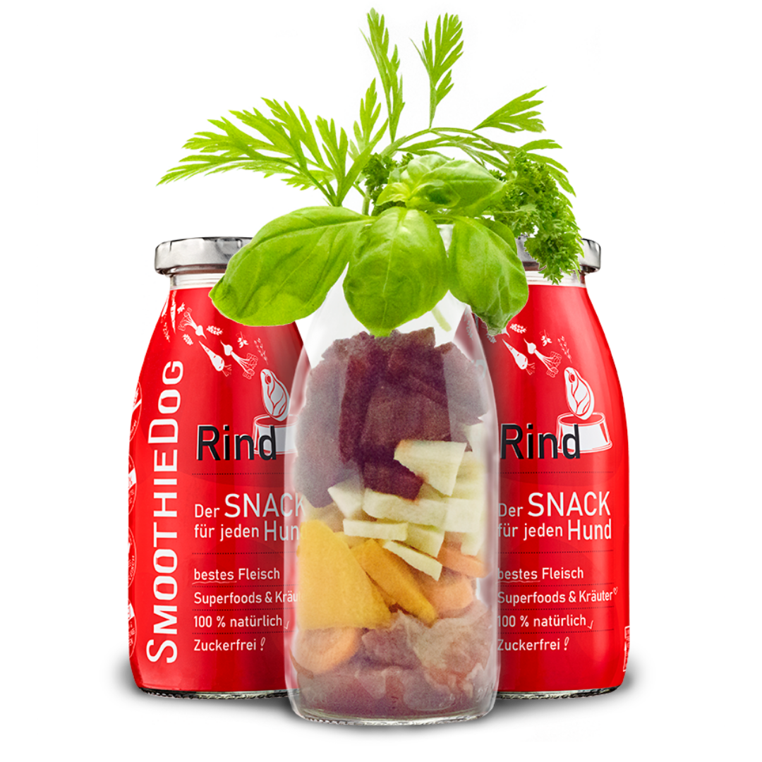 SmoothieDog | Rind