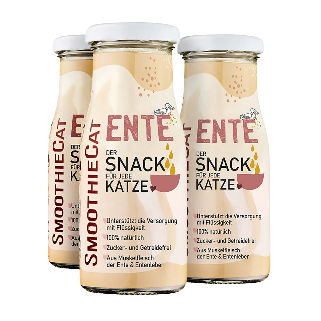 SmoothieCat | Ente