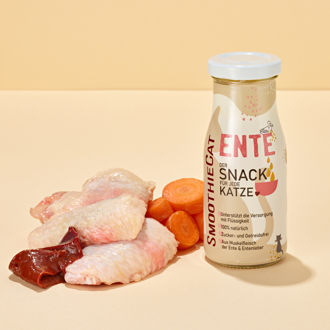 SmoothieCat | Ente
