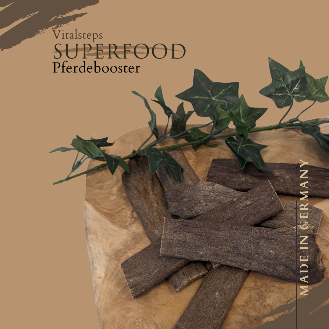 Pferdebooster