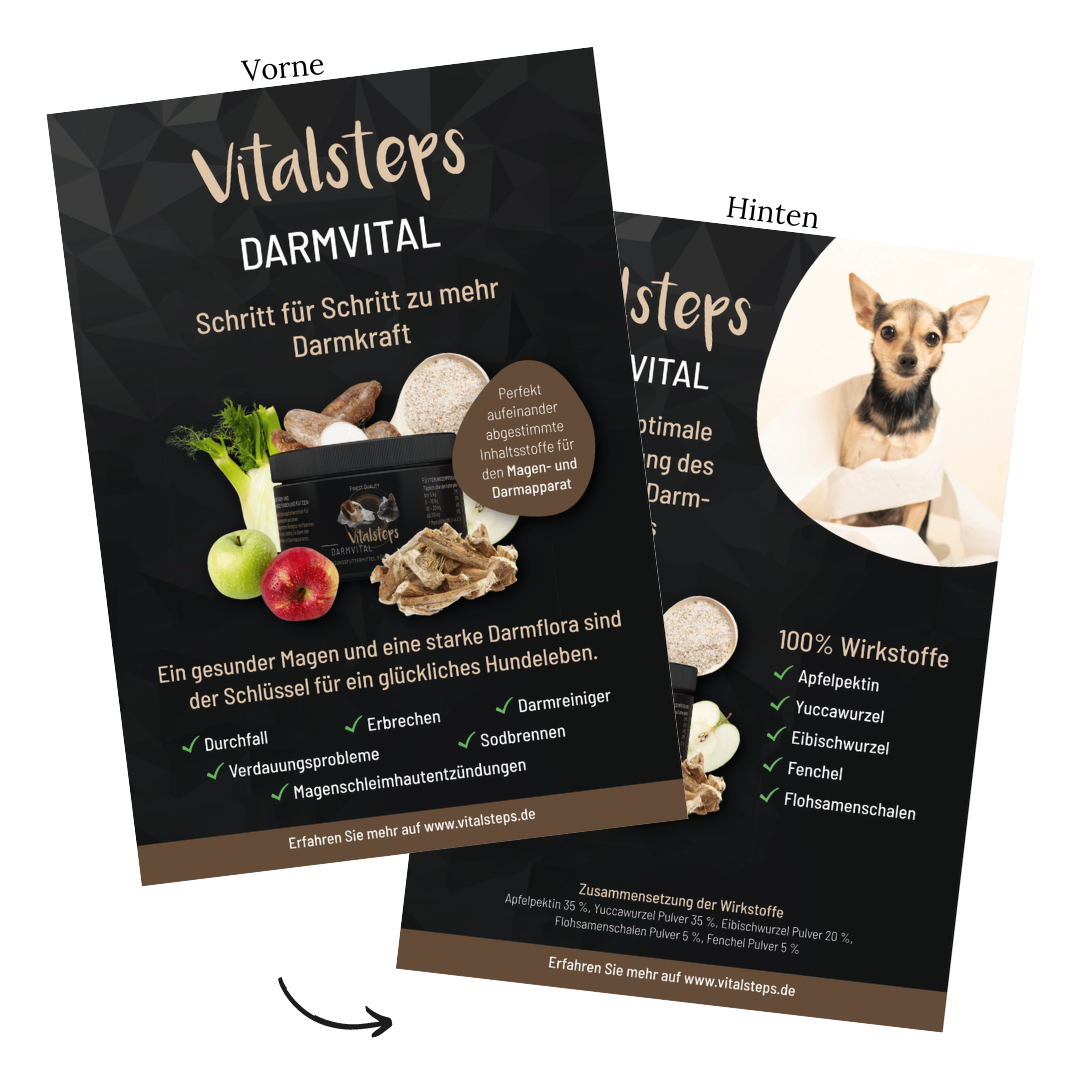 Produkt- Flyer A5