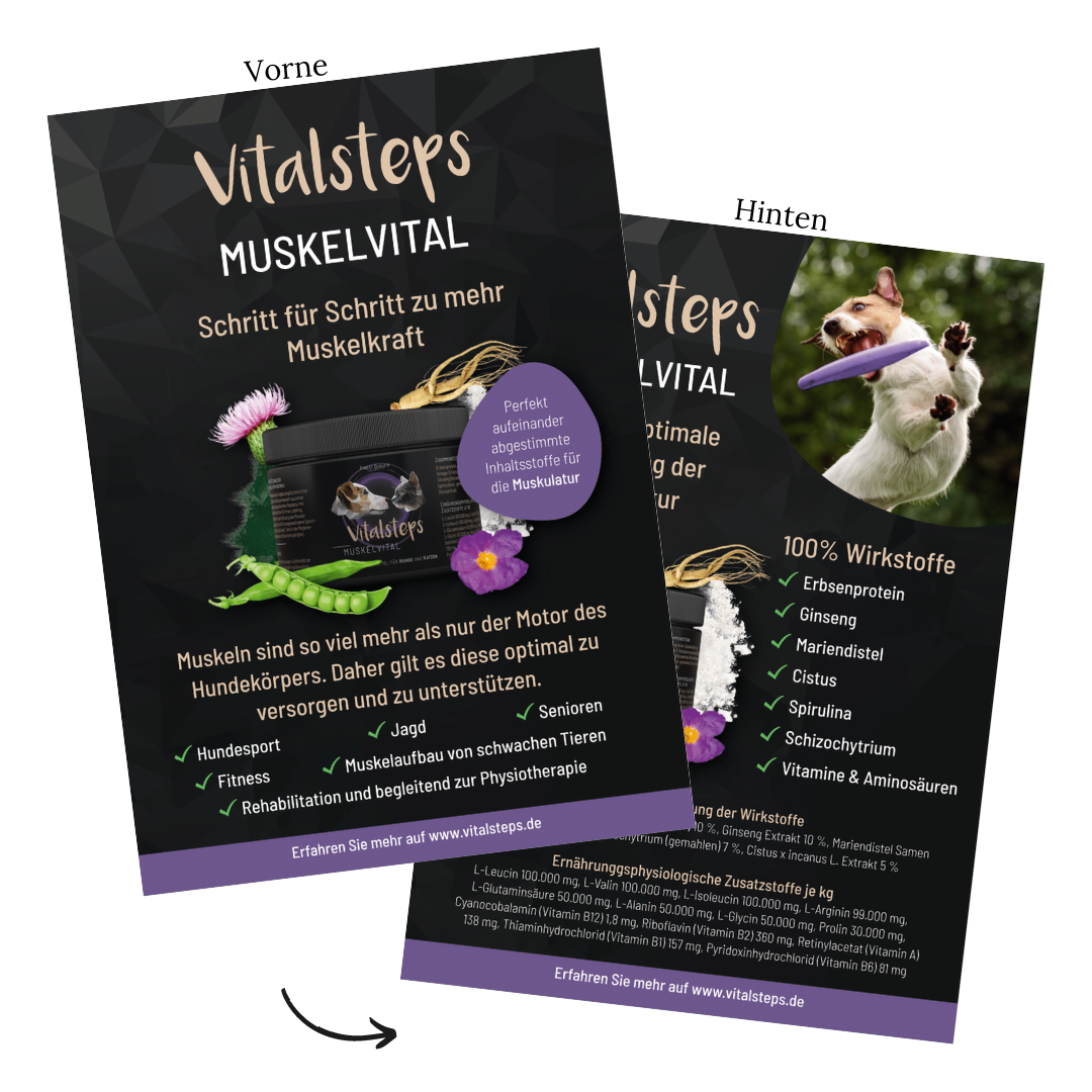 Produkt- Flyer A5