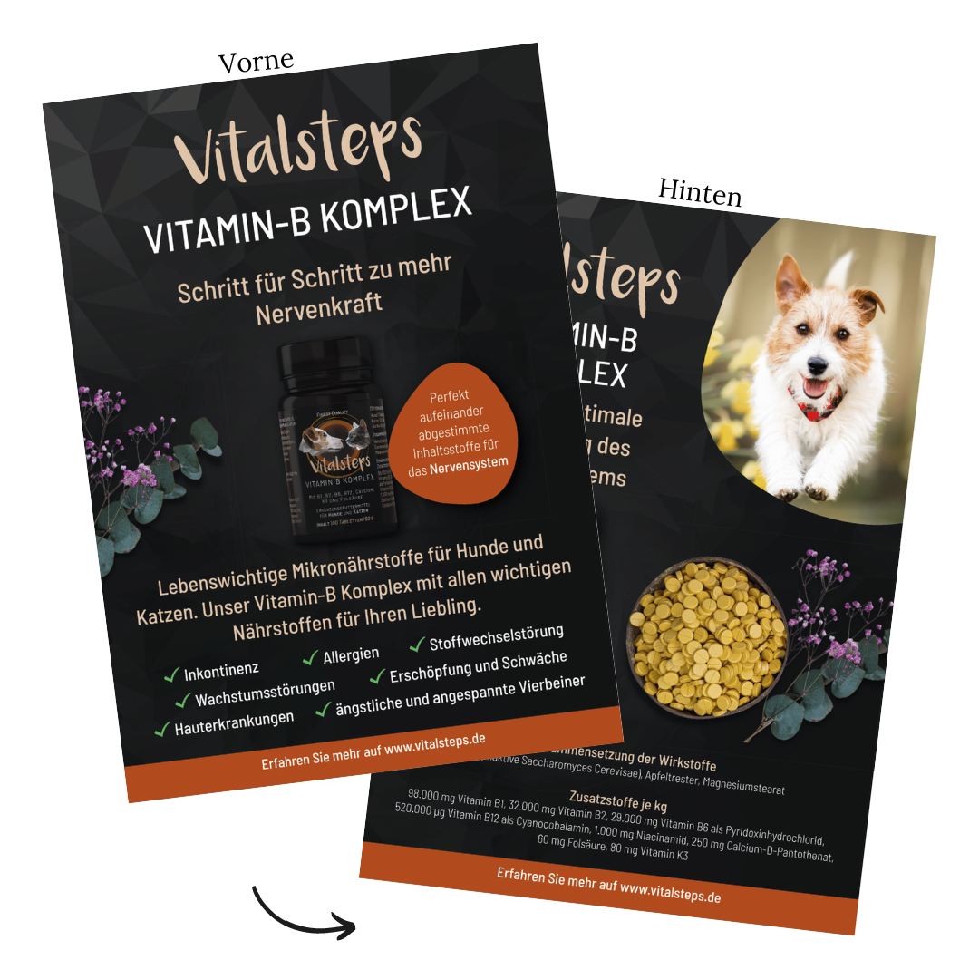 Produkt- Flyer A5