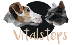 Vitalsteps