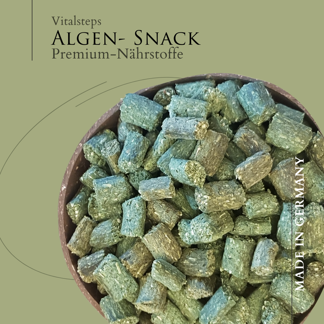 Algen- Snack