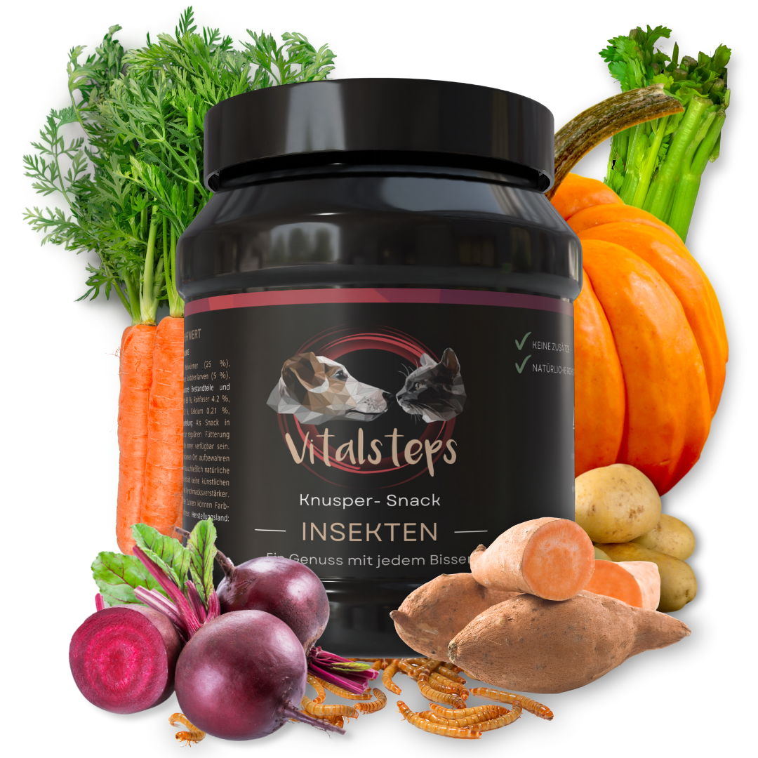 Insekten- Snack