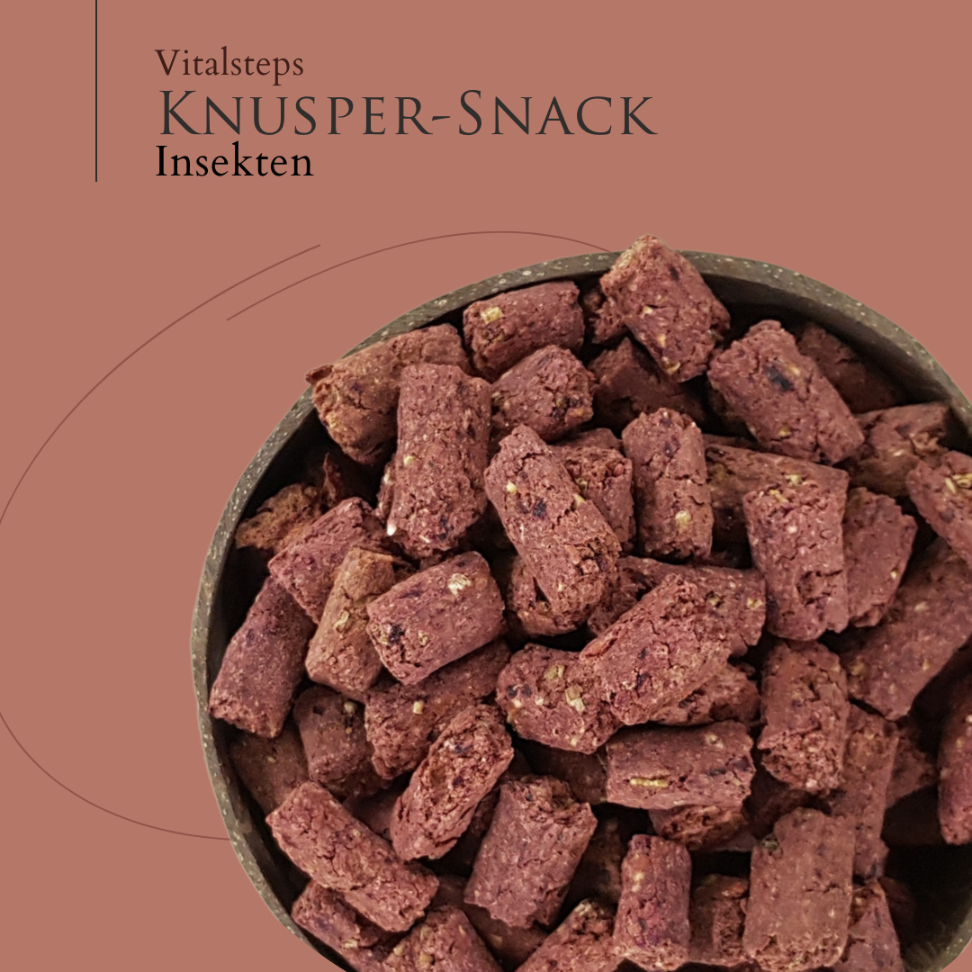 Vitalsteps Knusper-Snack Insekten Nahaufnahme mit rötlichen Snackstückchen in einer Schale