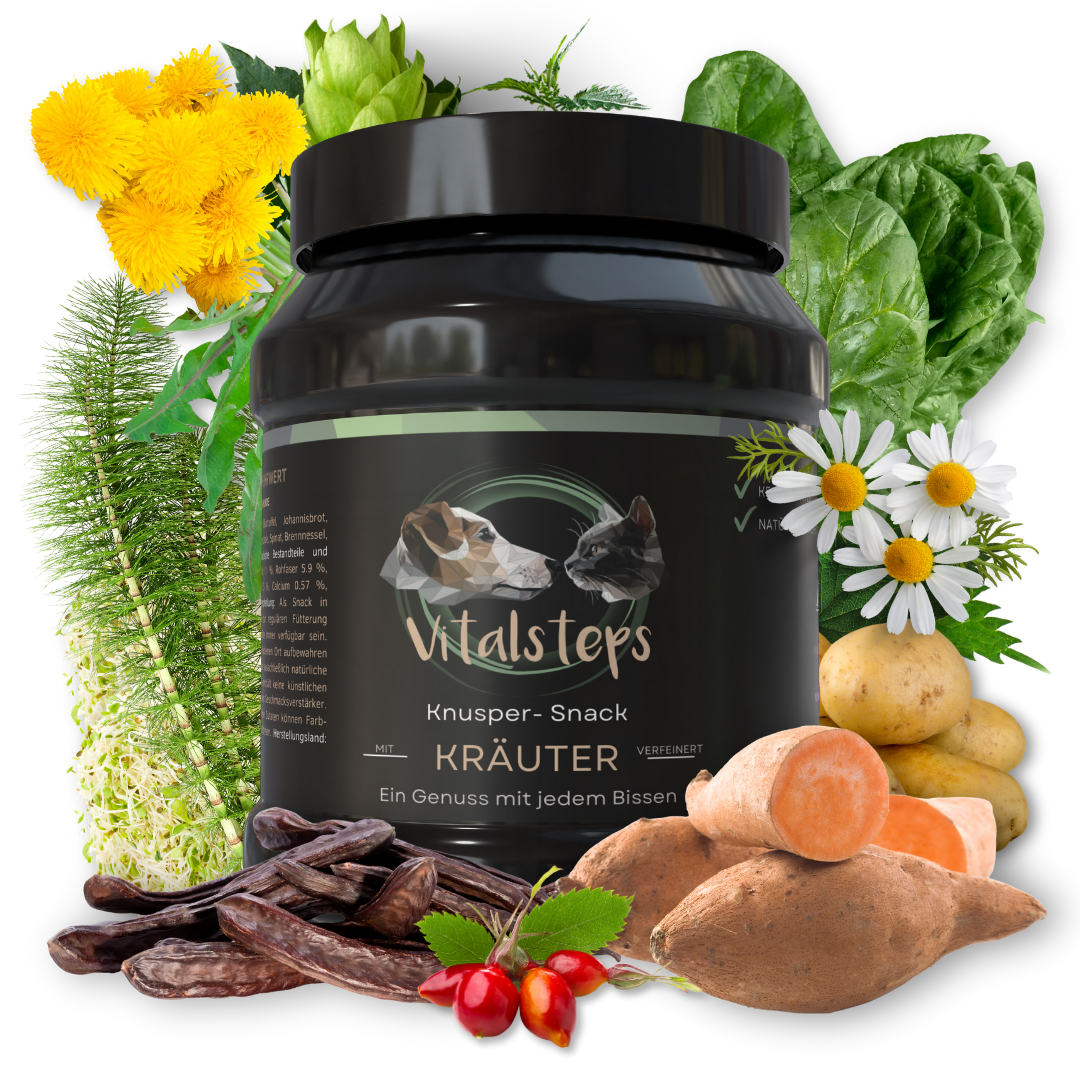 Vitalsteps Knusper-Snack Kräuter für Hunde mit pflanzlichen Zutaten wie Kräutern, Süßkartoffel, Kartoffel und Hagebutte