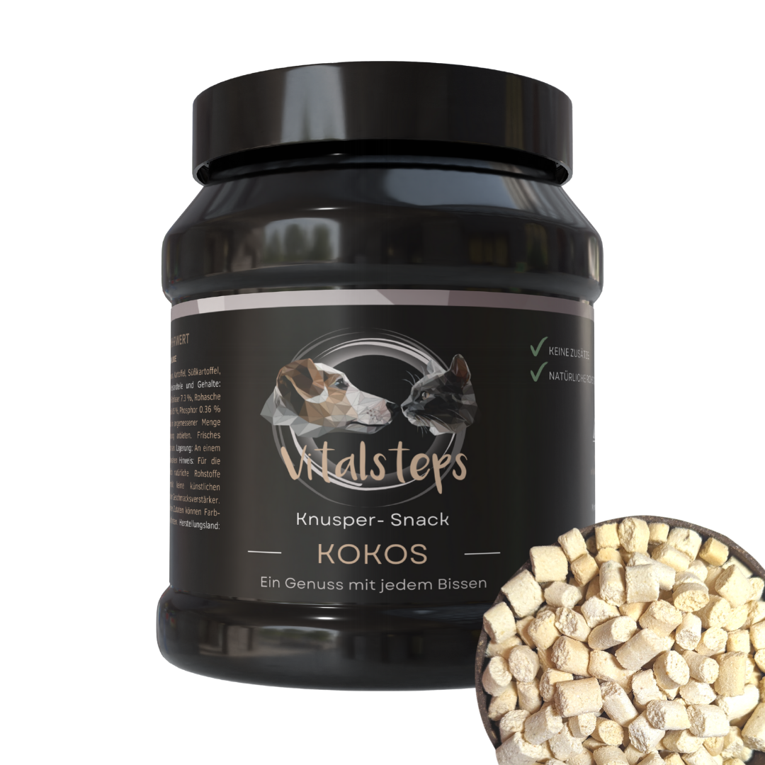 Vitalsteps Knusper-Snack Kokos Produktdose mit Snackstückchen auf weißem Hintergrund