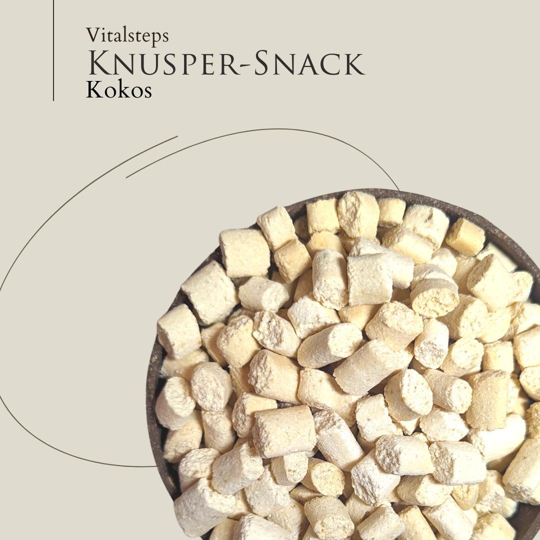 Vitalsteps Knusper-Snack Kokos Nahaufnahme mit hellen Snackstückchen in einer Schale