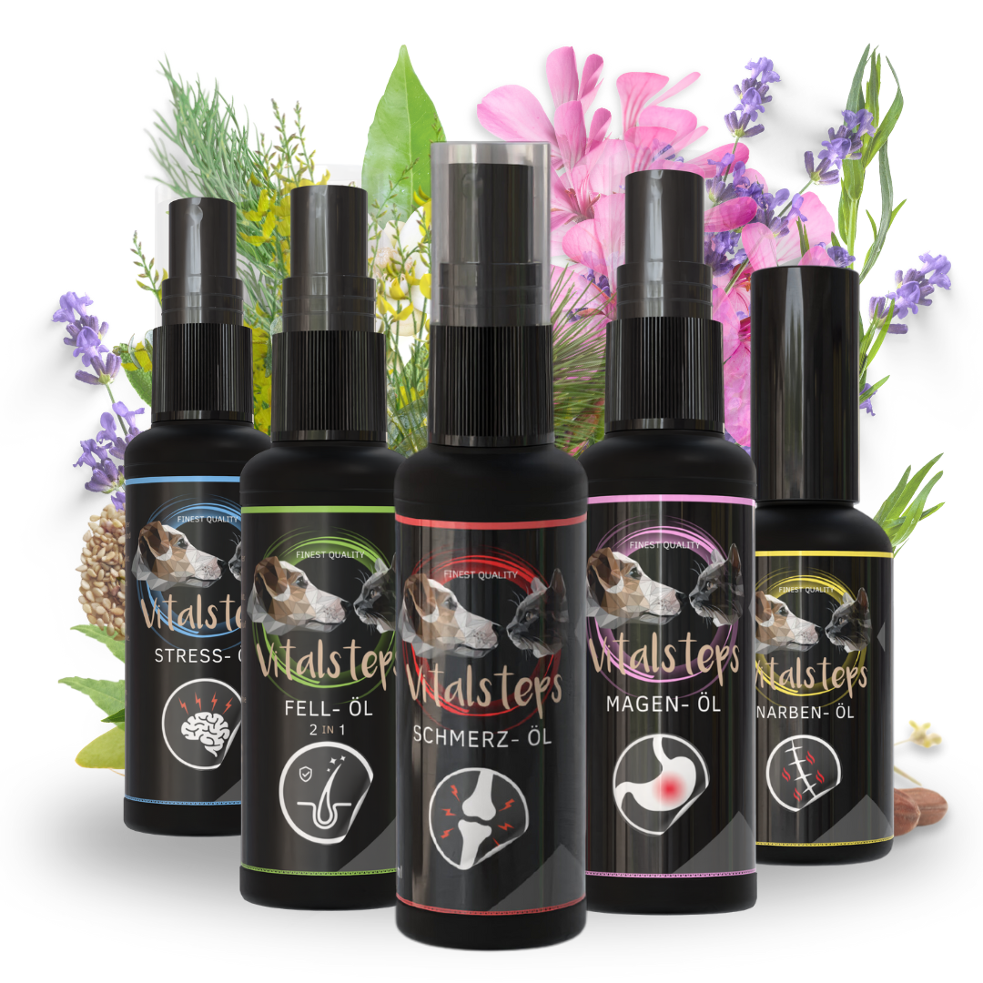 Starter-Kit Massage-Öle