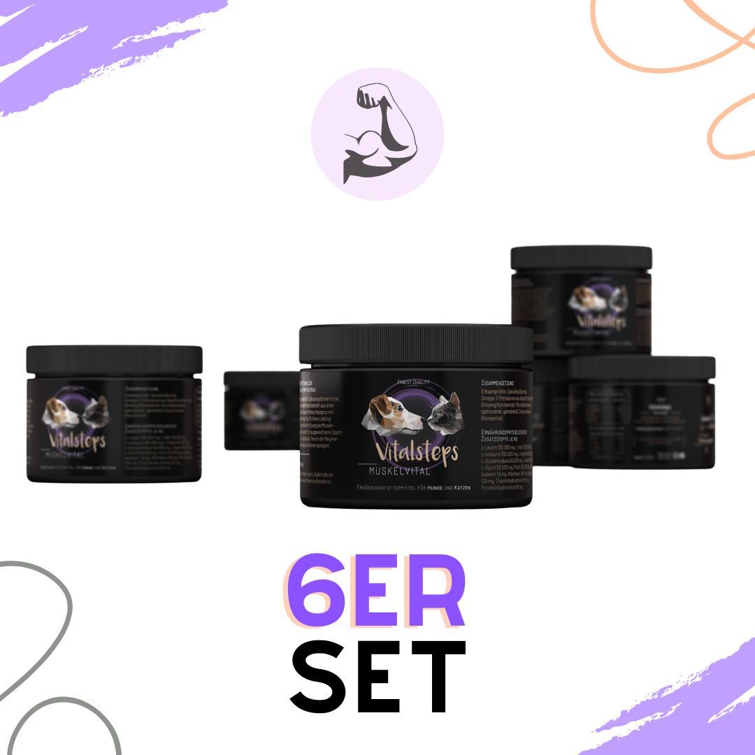 6er Set Muskelvital