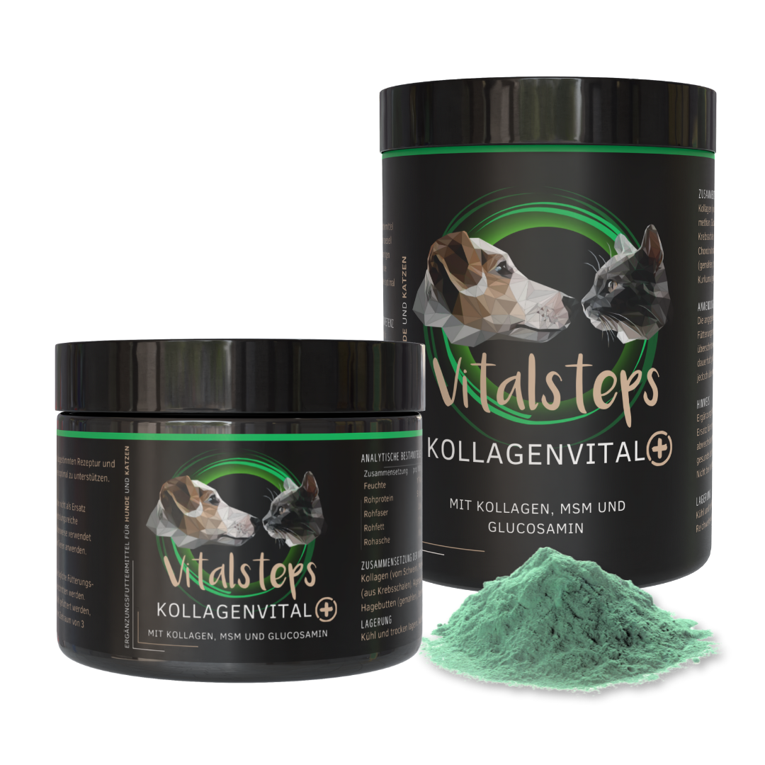 KollagenVital+