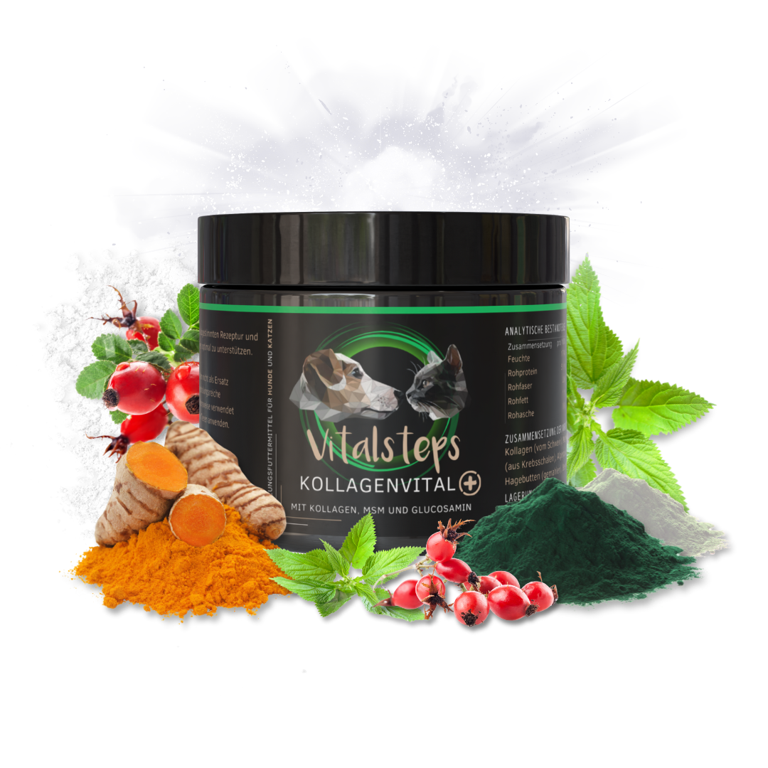 KollagenVital+