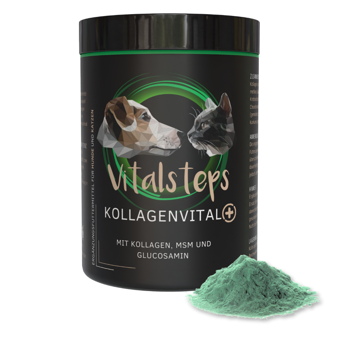 KollagenVital+